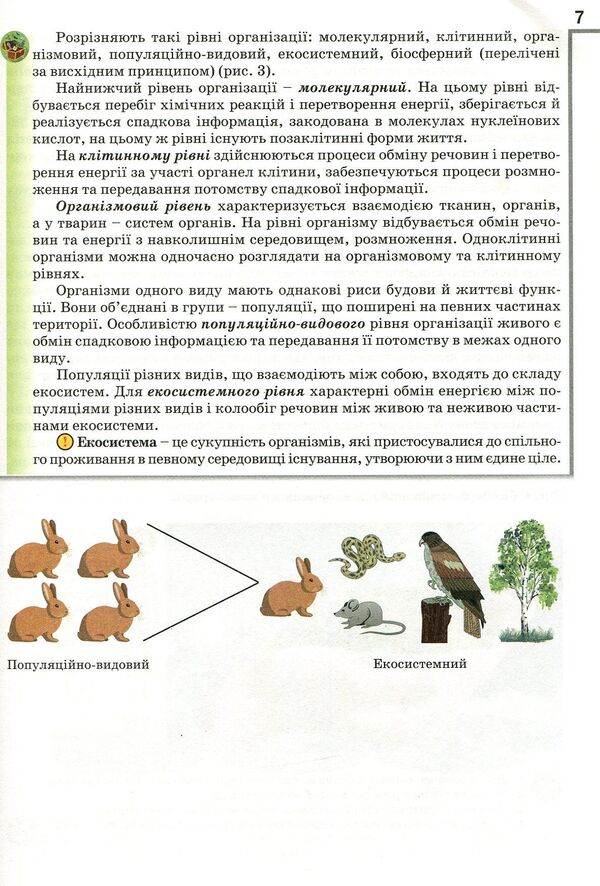 Biology and ecology. Grade 10 / Біологія і екологія. 10 клас Оксана Андерсон, Марина Вихренко, Андрей Чернинский 978-966-1650-57-1-5