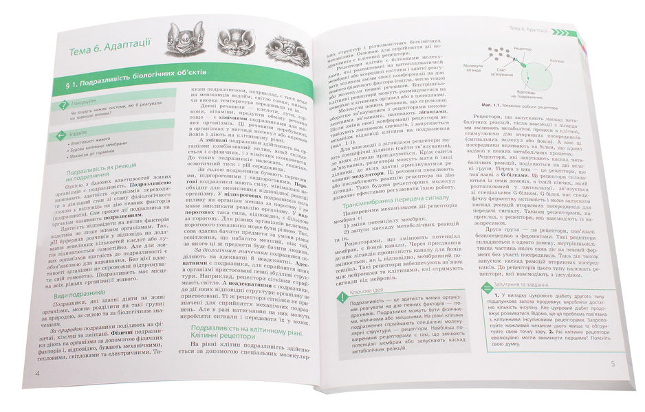 Biology and ecology. Profile level. Grade 11 / Біологія і екологія. Профільний рівень. 11 клас Дмитрий Леонтьев, Ольга Утевская, Константин Задорожный 978-617-09-5190-8-4