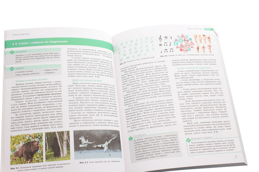 Biology and ecology. Profile level. Grade 11 / Біологія і екологія. Профільний рівень. 11 клас Дмитрий Леонтьев, Ольга Утевская, Константин Задорожный 978-617-09-5190-8-5