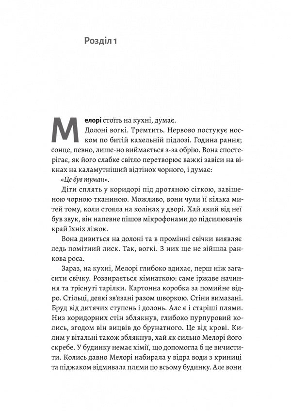 Bird Box - Пташиний короб Josh Malerman - Джош Малерман 9786178619275-2