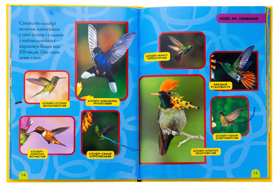 Birds. My First Encyclopedia - Птахи. Моя перша енциклопедя Ketrin Hughes - Кетрн Хьюз 9786171600782-5