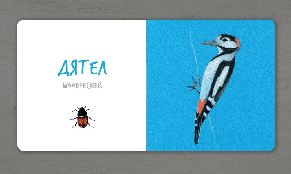 Birds / Птахи Екатерина Таберко 978-617-7395-26-2-5