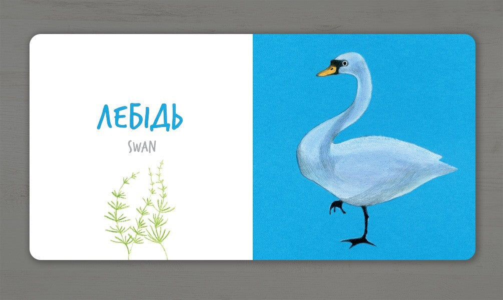 Birds / Птахи Екатерина Таберко 978-617-7395-26-2-6