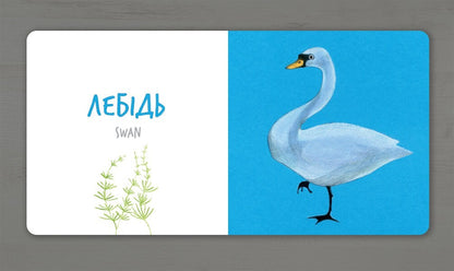 Birds / Птахи Екатерина Таберко 978-617-7395-26-2-6