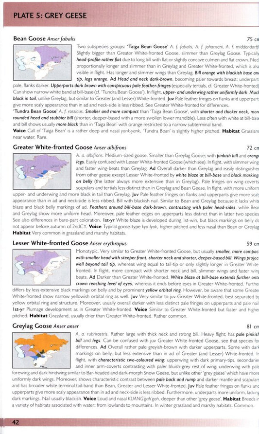 Birds of Central Asia / Birds of Central Asia Мануэль Швайзер, Рафаэль Айе, Тобиас Рот 9780713670387-2