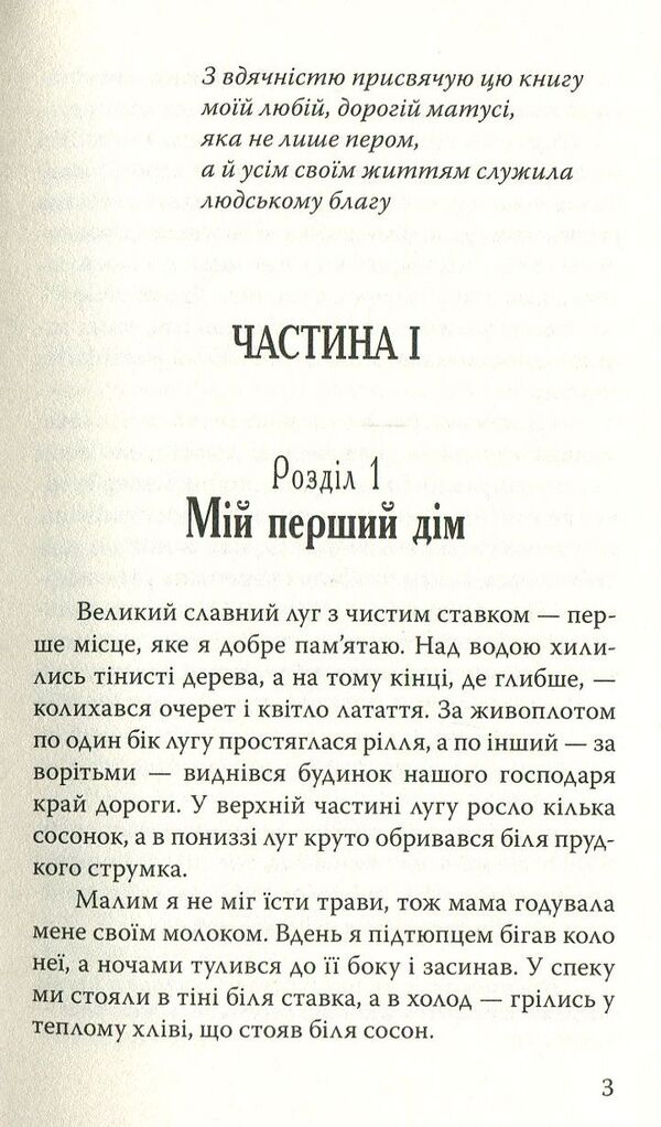 Black Handsome / Чорний Красень Anna Suell / Анна Сьюелл 9786170706249-3