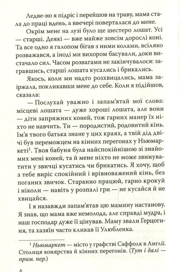 Black Handsome / Чорний Красень Anna Suell / Анна Сьюелл 9786170706249-4