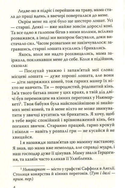 Black Handsome / Чорний Красень Anna Suell / Анна Сьюелл 9786170706249-4