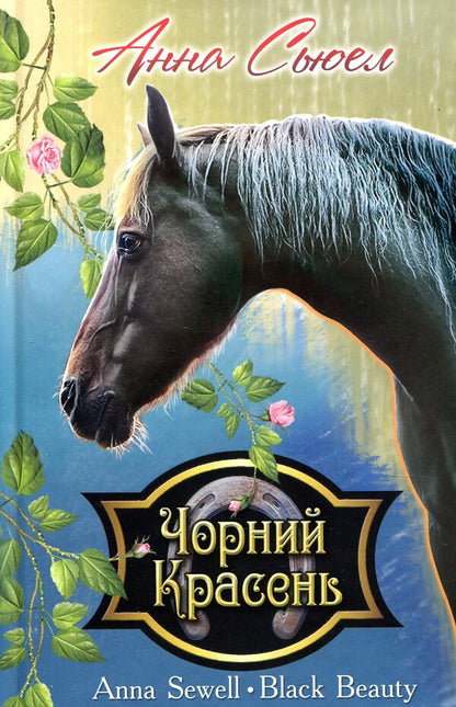 Black Handsome / Чорний Красень Anna Suell / Анна Сьюелл 9786170706294-1