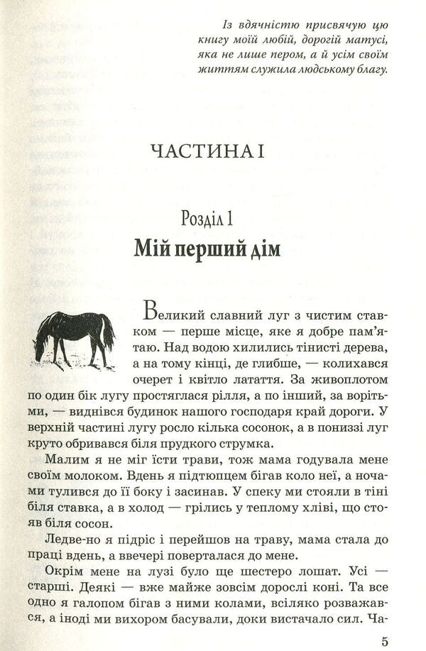 Black Handsome / Чорний Красень Anna Suell / Анна Сьюелл 9786170706294-3