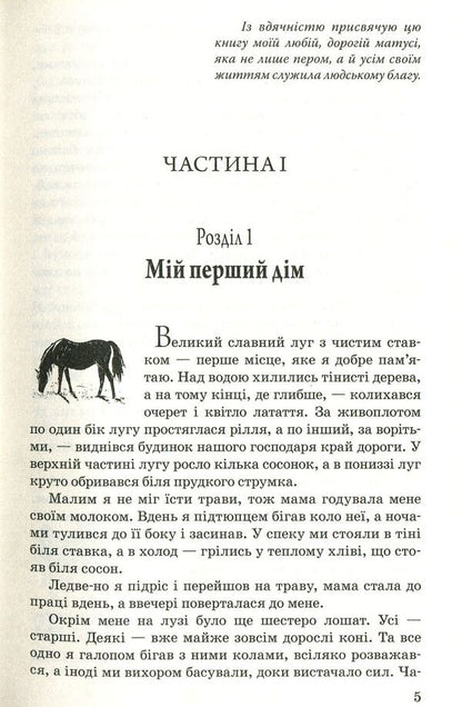Black Handsome / Чорний Красень Anna Suell / Анна Сьюелл 9786170706294-3