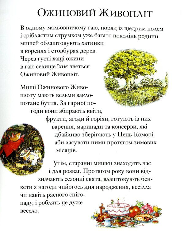 Blackberry Hedge Book 5 Secret Stairs - Ожиновий живоплт Книга 5 Тамн сходи Jill Barklam - Джилл Барклем 9786177329861-4