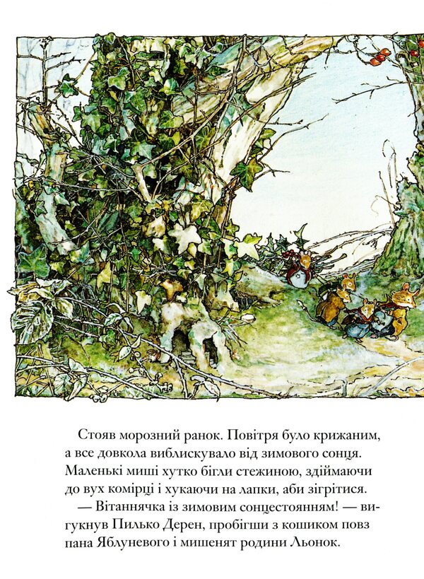 Blackberry Hedge Book 5 Secret Stairs - Ожиновий живоплт Книга 5 Тамн сходи Jill Barklam - Джилл Барклем 9786177329861-5
