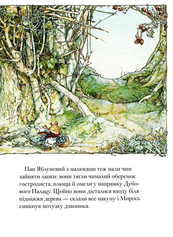 Blackberry Hedge Book 5 Secret Stairs - Ожиновий живоплт Книга 5 Тамн сходи Jill Barklam - Джилл Барклем 9786177329861-6