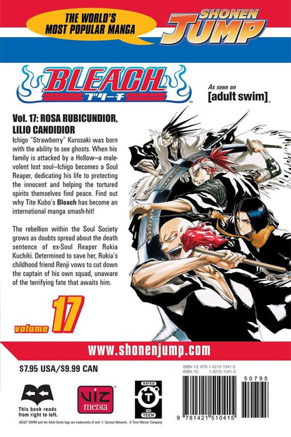 Bleach. Volume 17 Teto Cubo / Тайто Кубо 9781421510415-2