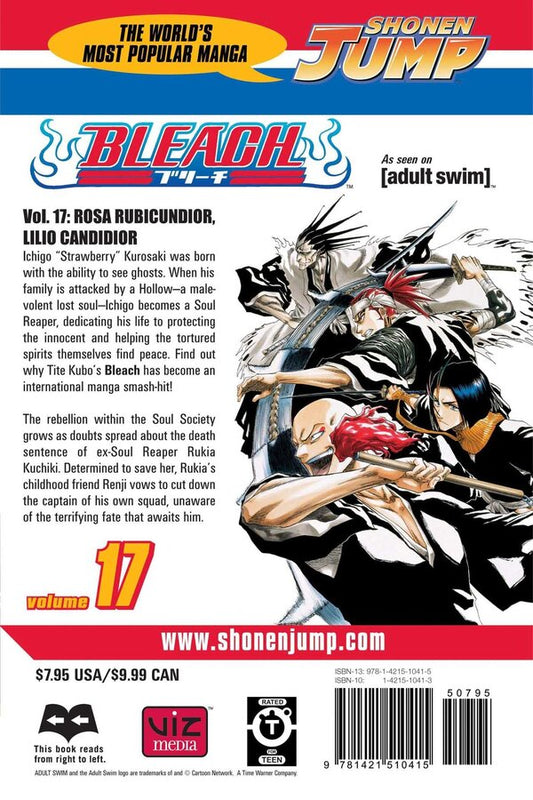 Bleach. Volume 17 Teto Cubo / Тайто Кубо 9781421510415-2