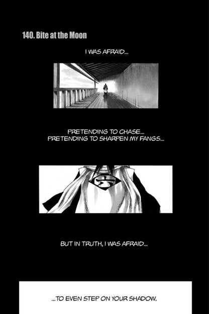 Bleach. Volume 17 Teto Cubo / Тайто Кубо 9781421510415-5