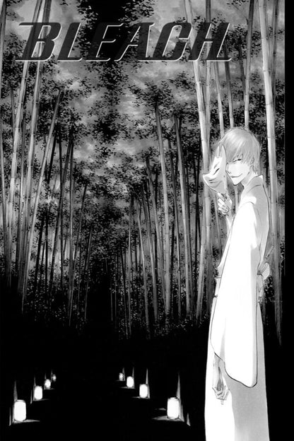 Bleach. Volume 48 Taito Kubo / Тайто Кубо 9781421543017-4