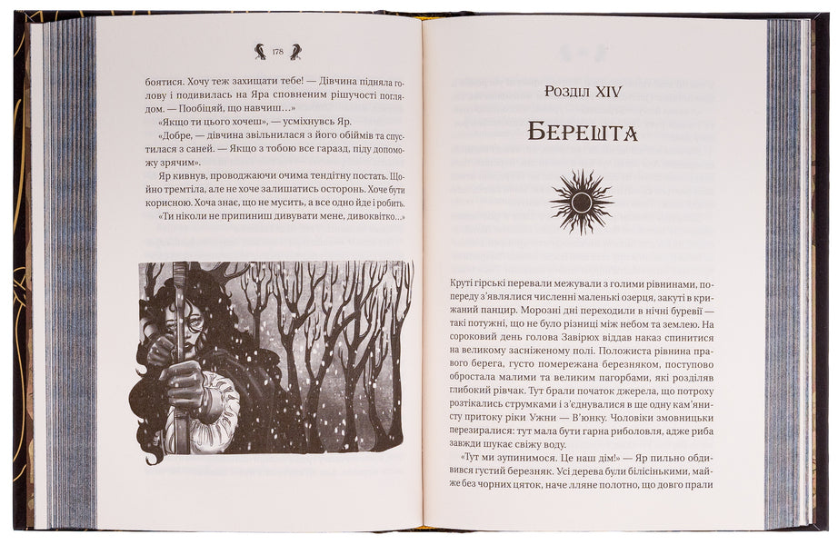 Blizzard (with color section) / Завірюха (із кольоровим зрізом) Анастасия Никулина, Анастасия Никулина 978-617-17-0358-2-6