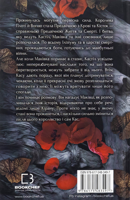 Blood And Ashes. Book 5. The Soul Of Ashes And Blood / Кров і попіл. Книга 5. Душа з попелу та крові Jennifer L. Armenraut / Дженніфер Л. Арменаут 9786175483497-2