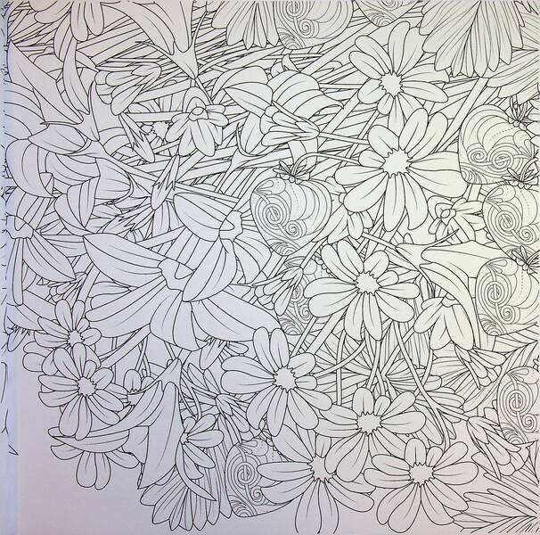 Blooming gardens / Квітучі сади Сара Муцио 9786178287207-6