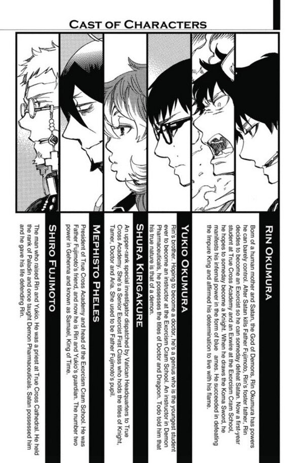 Blue Exorcist. Volume 17 Kazue Kato / Кадзуэ Като 9781421593333-5