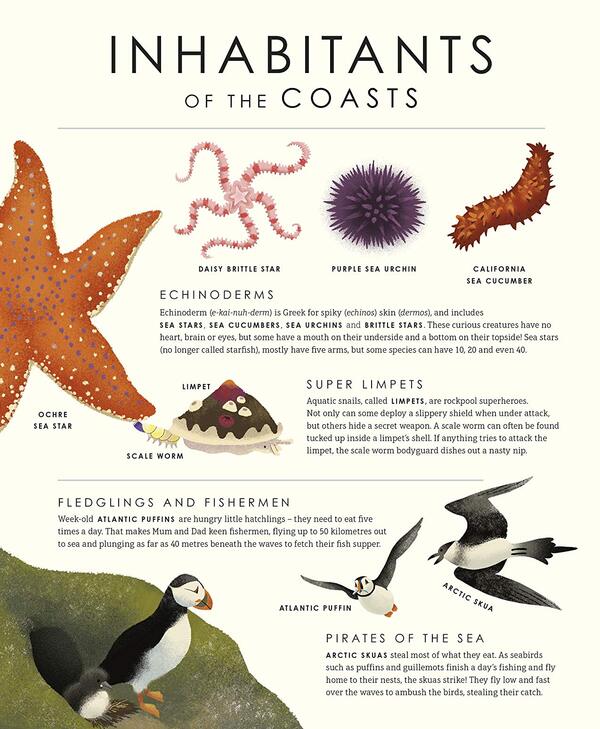 Blue Planet II / Blue Planet II Лейза Стюарт-Шарп 9781405946605-2