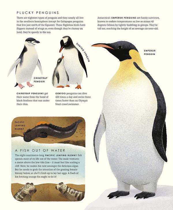 Blue Planet II / Blue Planet II Лейза Стюарт-Шарп 9781405946605-3