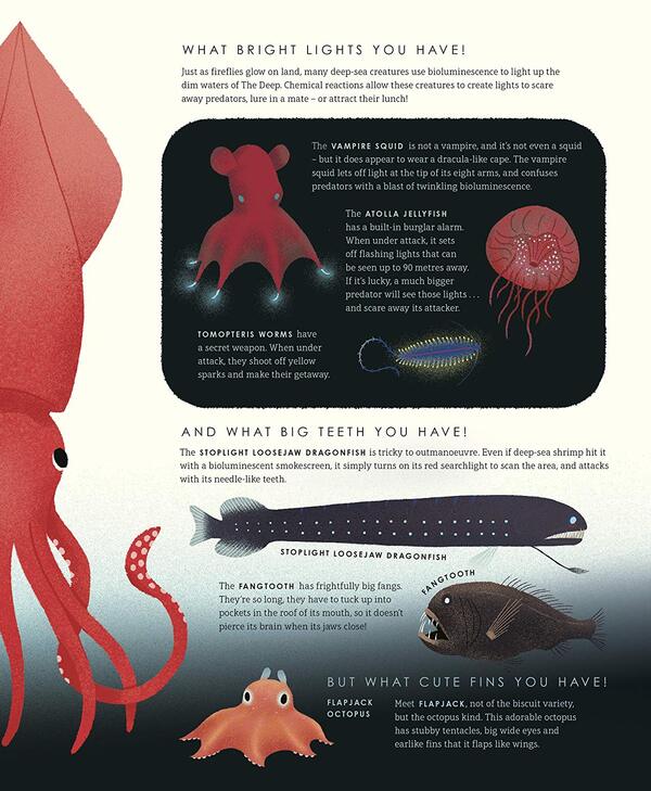 Blue Planet II / Blue Planet II Лейза Стюарт-Шарп 9781405946605-5