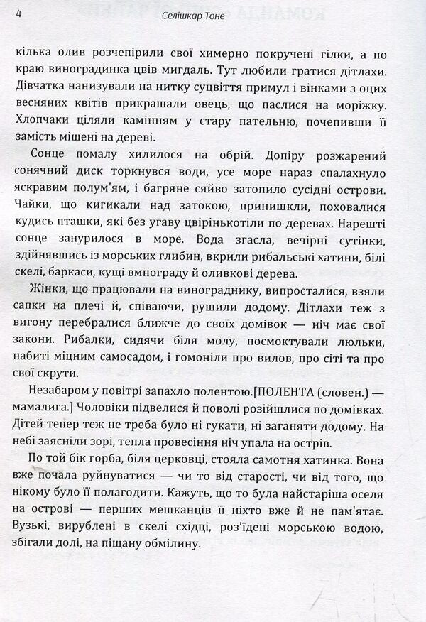 Blue Seagull team / Команда 'Синьої чайки' Тоне Селишкар 978-617-673-882-4-4