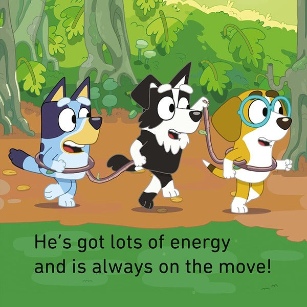 Bluey. Bluey And Friends Little Library / Author not specified 9780241605042-3