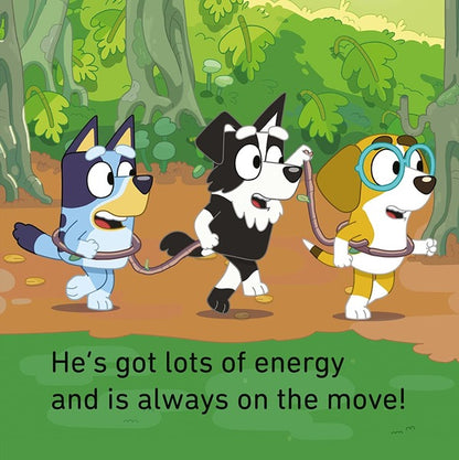 Bluey. Bluey And Friends Little Library / Author not specified 9780241605042-3