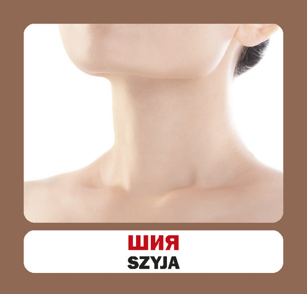 Body Parts.Set Of Cards - Частини тла. Набр карток - Author not specified 9786177686117-4