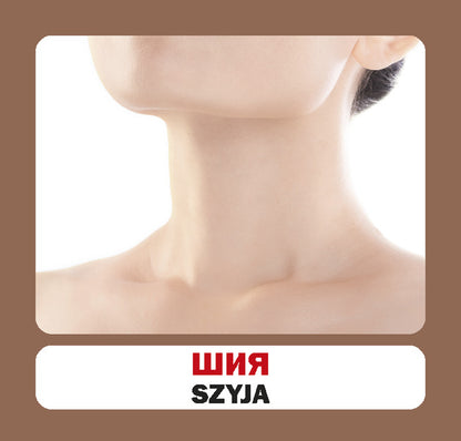 Body Parts.Set Of Cards - Частини тла. Набр карток - Author not specified 9786177686117-4