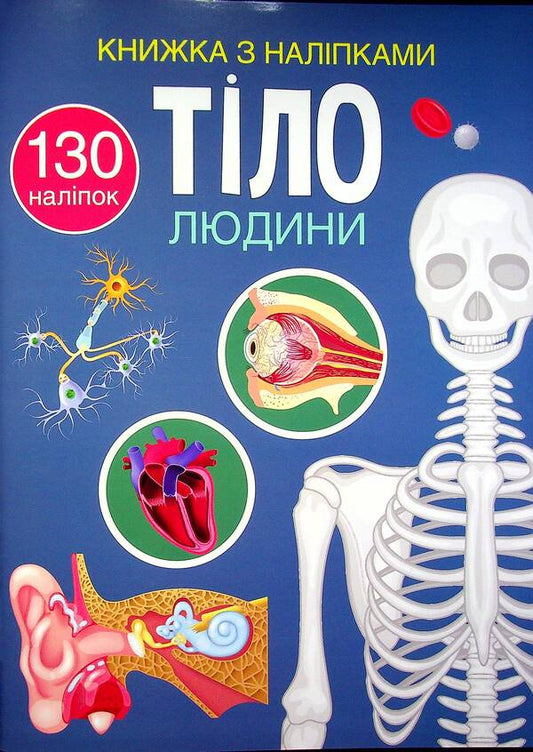 Book with stickers.Human body / Книжка з наліпками. Тіло людини  978-617-547-046-6-1