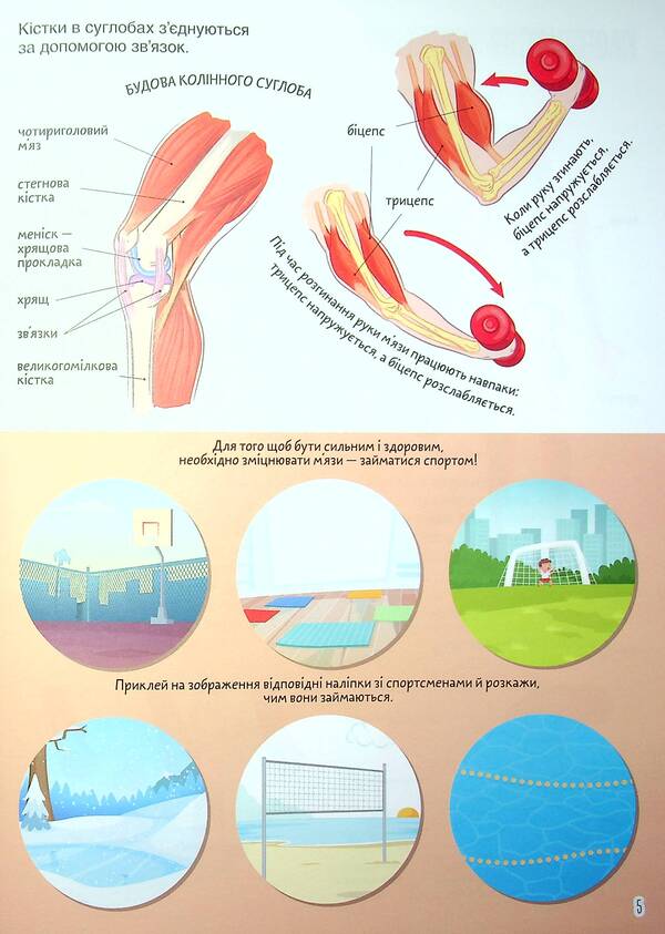 Book with stickers.Human body / Книжка з наліпками. Тіло людини  978-617-547-046-6-6