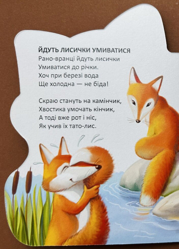 Boots For A Fox - Черевички для лисички Vladimir Verhoven - Володимир Верховень 9789669893277-3