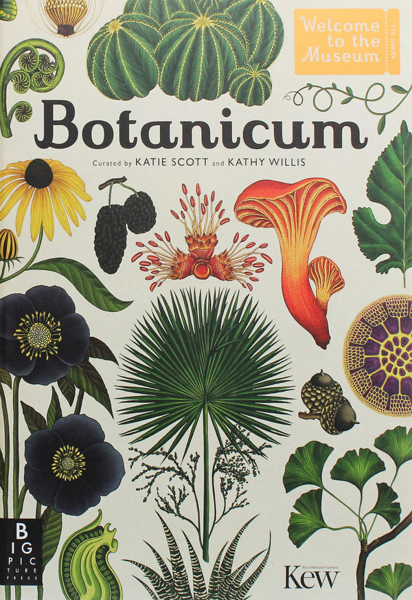Botanicum / Botanicum Кэти Уиллис 978-1-78370-394-4-1