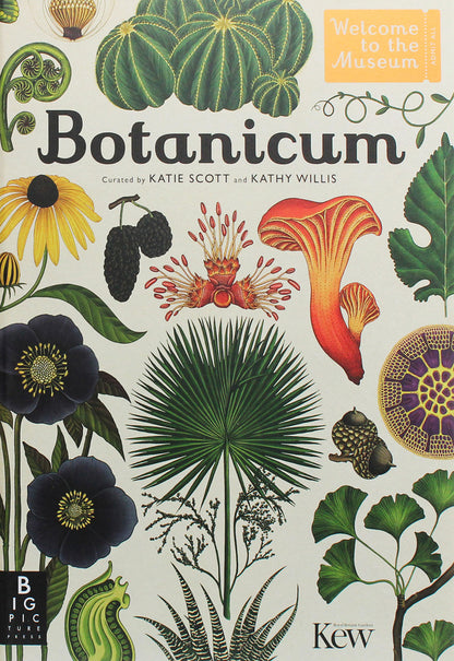 Botanicum / Botanicum Кэти Уиллис 978-1-78370-394-4-1