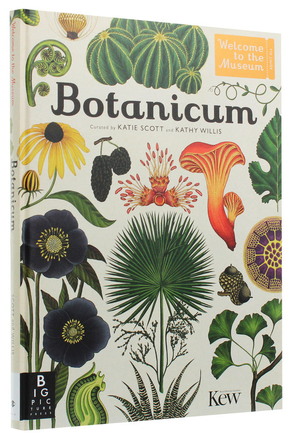 Botanicum / Botanicum Кэти Уиллис 978-1-78370-394-4-3