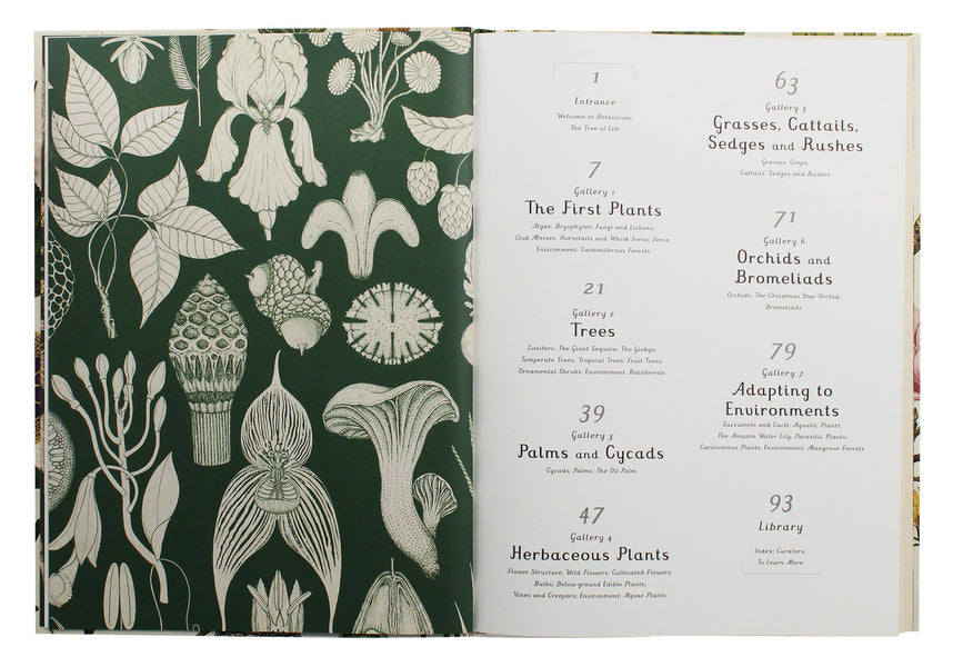 Botanicum / Botanicum Кэти Уиллис 978-1-78370-394-4-4