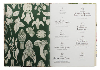 Botanicum / Botanicum Кэти Уиллис 978-1-78370-394-4-4