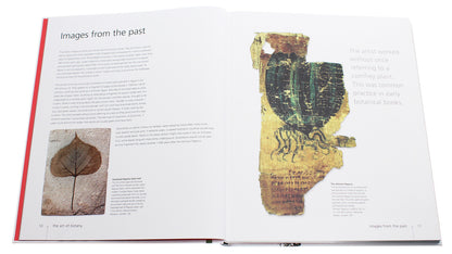 Botany For The Artist Sarah Simblet / Сара Симблет 9780241426425-4