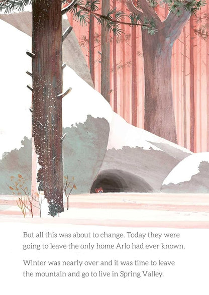 Brave Little Bear / Brave Little Bear  9781471192418-3