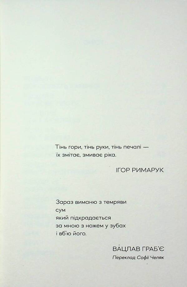 Breaking a branch / Ламання гілки Алеся Богдан 978-617-8581-02-2-3