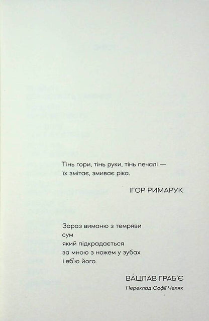 Breaking a branch / Ламання гілки Алеся Богдан 978-617-8581-02-2-3