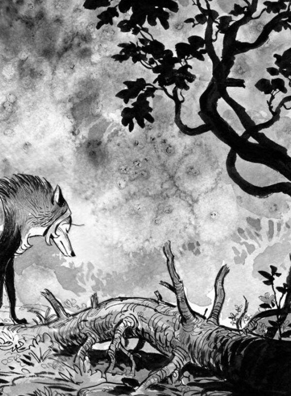 Brindilla Volume 2. The Way To Light / Бринділла. Том 2. Шлях до світла Frederic Bremaux / Фредерік Бремо 9786170996855-5