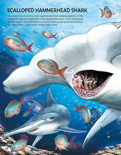 Build Your Own Sea Creatures. Sticker Book Simon Tudhope / Саймон Тадхоуп 9781474998789-4