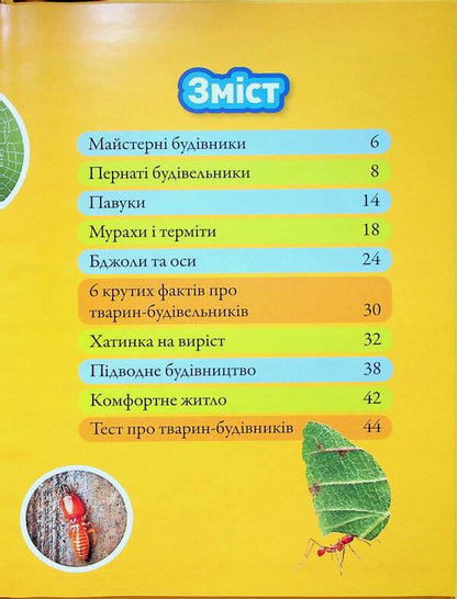 Building Animals / Тварини-будівники Libba Romero / Ліббі Ромеро 9786171600423-3