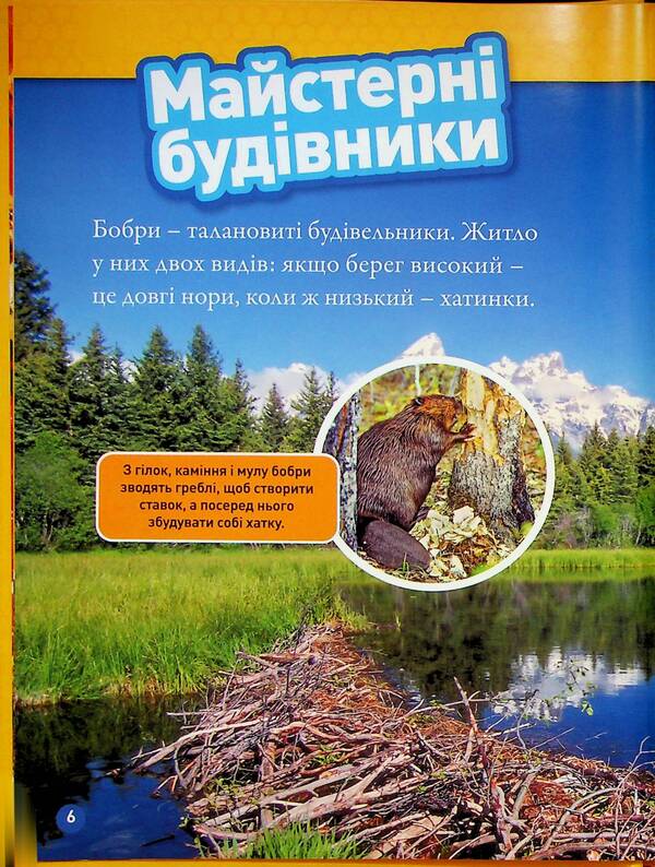 Building Animals / Тварини-будівники Libba Romero / Ліббі Ромеро 9786171600423-4